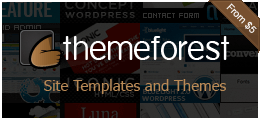 ddos网页版